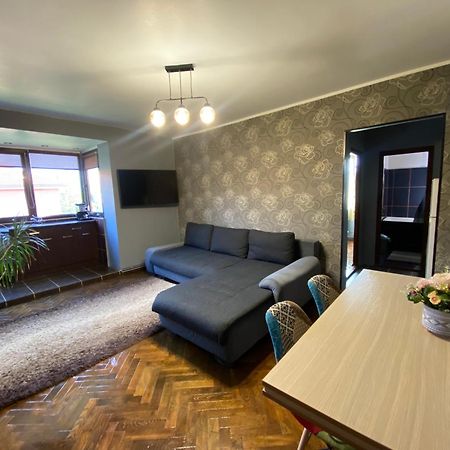 Comfort Home Apartment 2 Petroşani 외부 사진